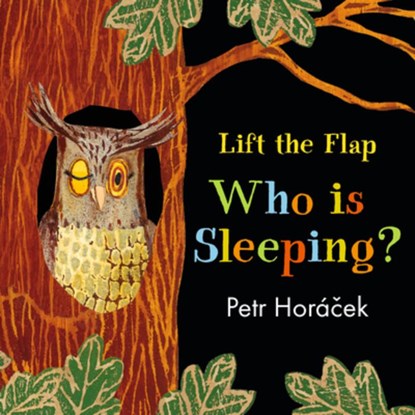WHO IS SLEEPING-LIFT FLAP, Petr Horacek - Gebonden - 9781536201727