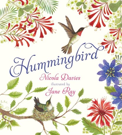 Hummingbird, Nicola Davies - Gebonden - 9781536205381