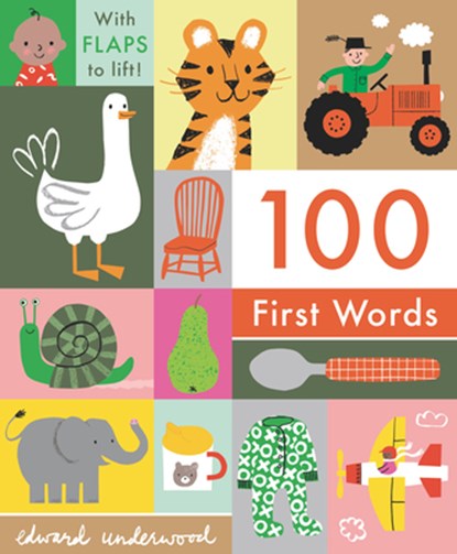 100 First Words: With Flaps to Lift, Edward Underwood - Gebonden - 9781536208221