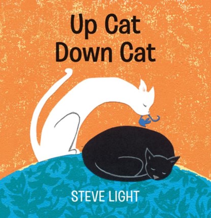 Up Cat Down Cat, Steve Light - Gebonden - 9781536210316