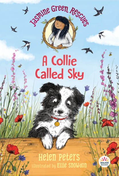 Jasmine Green Rescues: A Collie Called Sky, Helen Peters - Paperback - 9781536215717