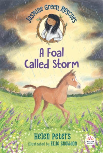 JASMINE GREEN RESCUES A FOAL C, Helen Peters - Paperback - 9781536222722
