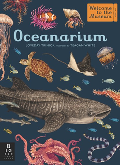 OCEANARIUM, Loveday Trinick - Gebonden - 9781536223811