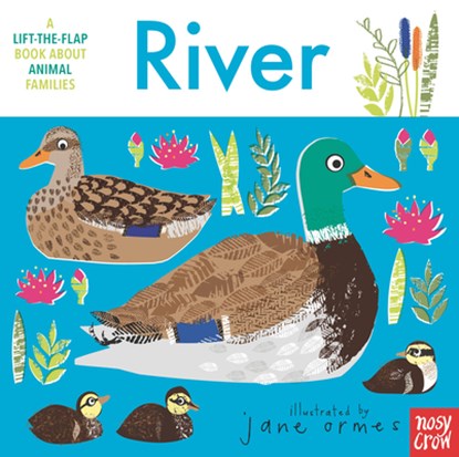 Animal Families: River, Jane Ormes - Gebonden - 9781536224016