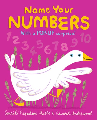 Name Your Numbers, Smriti Prasadam-Halls - Gebonden - 9781536228458