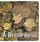 A Brave Bear, Sean Taylor - Gebonden - 9781536229639