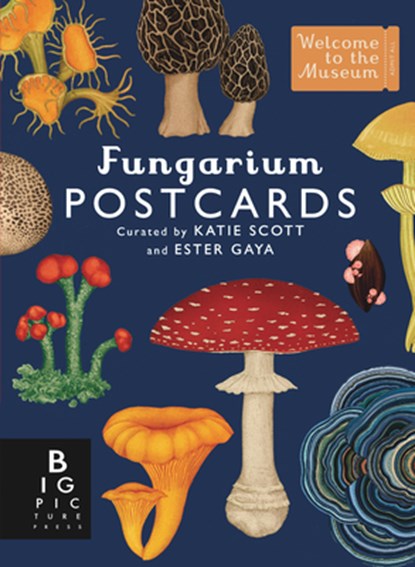 Fungarium Postcard Box Set, Ester Gaya - Gebonden - 9781536238389