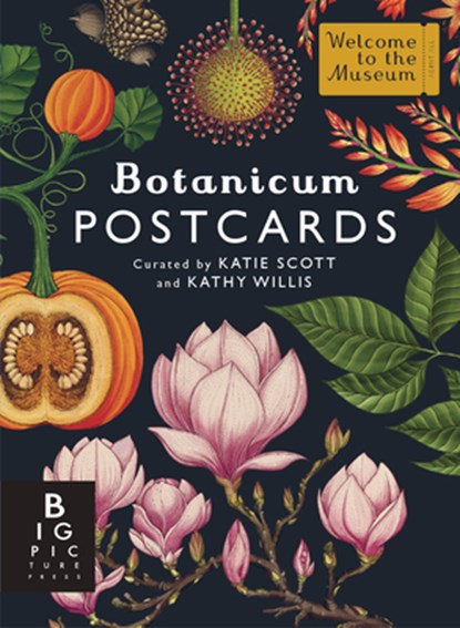 Willis, K: Botanicum Postcard Box Set, Kathy Willis - Losbladig - 9781536238396
