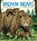 Brown Bears, Nick Crumpton - Gebonden - 9781536238778