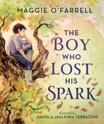 The Boy Who Lost His Spark, Maggie O'Farrell - Paperback - 9781536240429