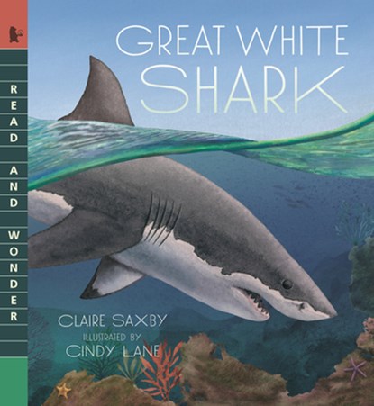 Great White Shark: Read and Wonder, Claire Saxby - Paperback - 9781536240887