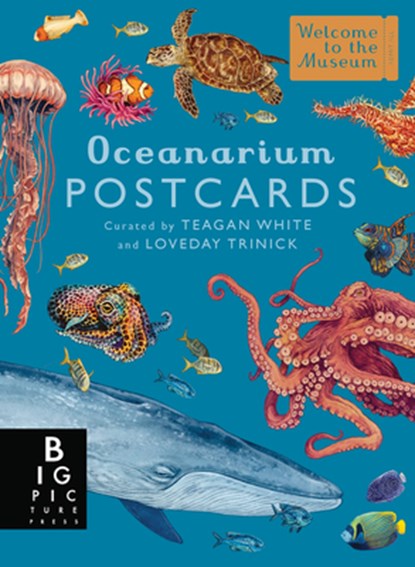 Oceanarium Postcard Box Set, Loveday Trinick - Gebonden - 9781536241150