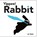 Yippee! Rabbit, Jo Ham - Gebonden - 9781536241334