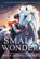 Small Wonder, Ross Montgomery - Gebonden - 9781536252026