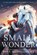 Small Wonder, Ross Montgomery - Gebonden - 9781536252026
