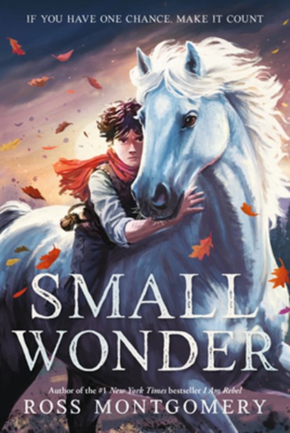 Small Wonder, Ross Montgomery - Gebonden - 9781536252026