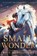 Small Wonder, Ross Montgomery - Paperback - 9781536252460