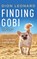Finding Gobi, LEONARD,  Dion - AVM - 9781536693270