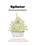 Splinter, LONG,  Virginia ; Hammock, Anita Hill - Paperback - 9781537641362