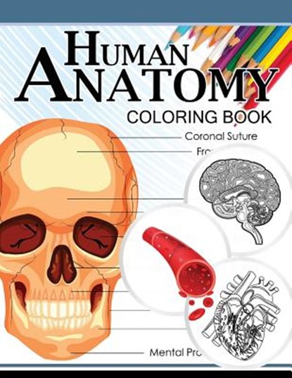 Human Anatomy Coloring Book: Anatomy & Physiology Coloring Book 3rd Edtion, Dr Michael D. Clark - Paperback - 9781537715728