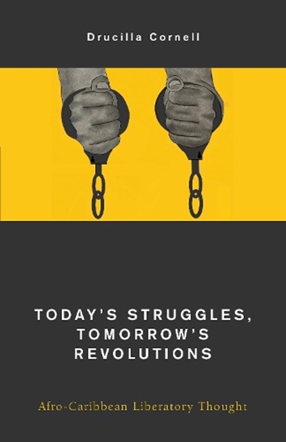 Today's Struggles, Tomorrow's Revolutions, Drucilla Cornell - Paperback - 9781538168493