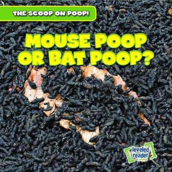 Mouse Poop or Bat Poop?