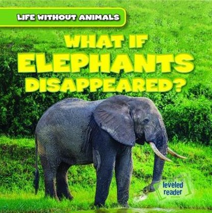 What If Elephants Disappeared?, EMMINIZER,  Theresa - Paperback - 9781538238103