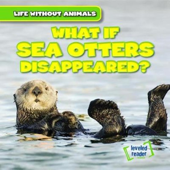 What If Sea Otters Disappeared?