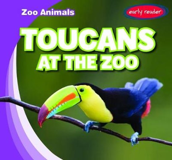 Toucans at the Zoo