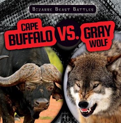 Cape Buffalo vs. Gray Wolf, LEVY,  Janey - Paperback - 9781538264652