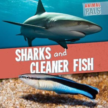 Sharks and Cleaner Fish, LEVY,  Janey - Gebonden - 9781538266939