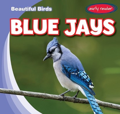 Blue Jays, RAJCZAK NELSON,  Kristen - Paperback - 9781538275115