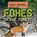 Foxes in the Forest, Jennifer Lombardo - Paperback - 9781538279113