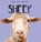 Sheep, GOTTLIEB,  Beth - Paperback - 9781538279519