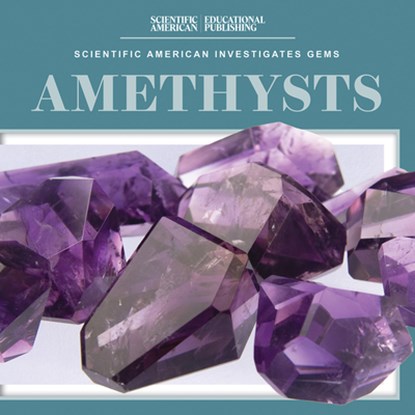 Amethysts, Beth Gottlieb - Gebonden - 9781538313763