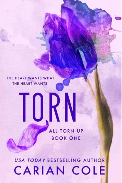 Torn, Carian Cole - Paperback - 9781538765982