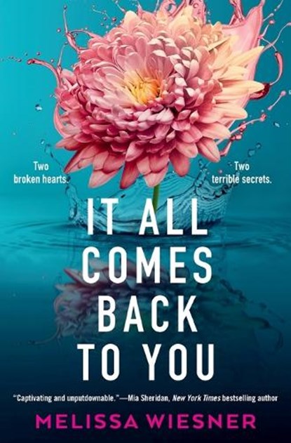 It All Comes Back to You, Melissa Wiesner - Paperback - 9781538770429