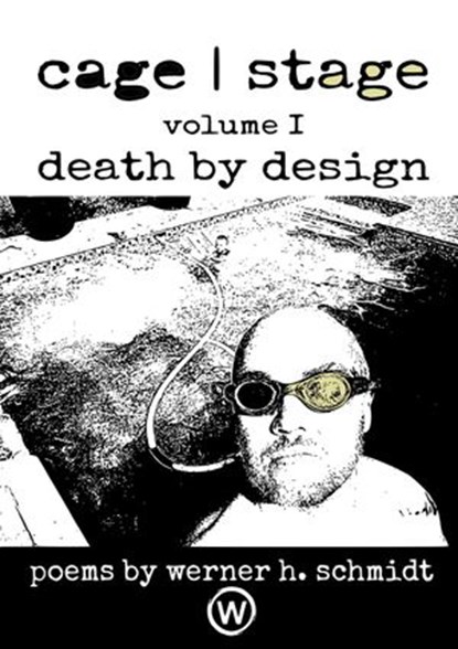 Death by Design, Werner Schmidt - Ebook - 9781540163370