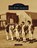 Old Fort Jackson, SEIFERT,  Laura - Gebonden - 9781540245779