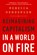 Reimagining Capitalism in a World on Fire, Rebecca Henderson - Paperback - 9781541730144