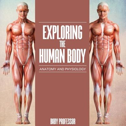Exploring the Human Body Anatomy and Physiology, Baby Professor - Paperback - 9781541902312