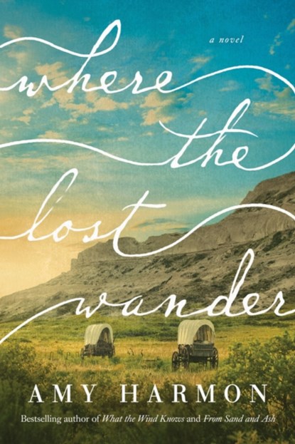 Where the Lost Wander, Amy Harmon - Paperback - 9781542017961