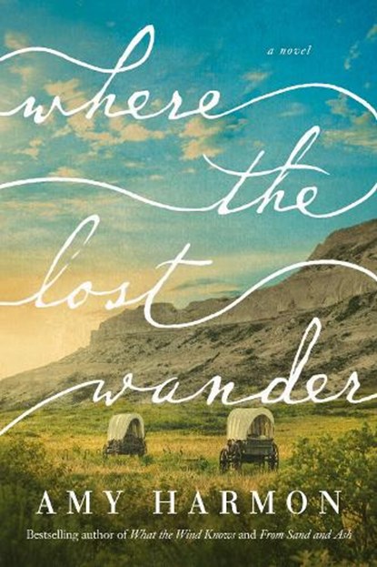 Where the Lost Wander, Amy Harmon - Paperback - 9781542017961