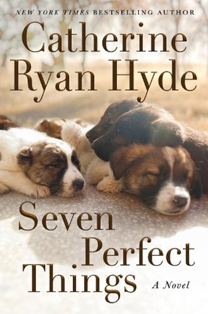 Seven Perfect Things, Catherine Ryan Hyde - Paperback - 9781542021548