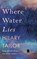 Where Water Lies, Hilary Tailor - Paperback - 9781542036597
