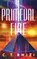 Primeval Fire, C. T. Rwizi - Paperback - 9781542037105