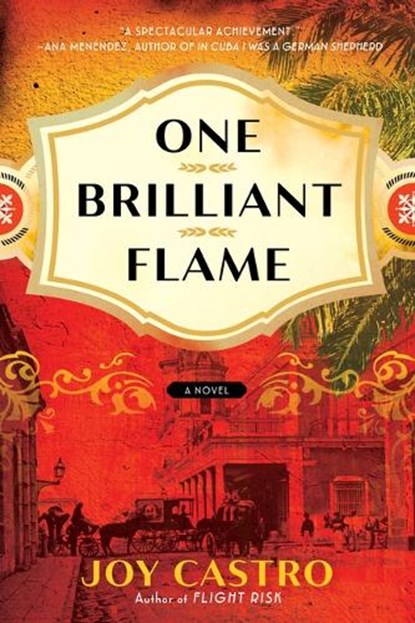 One Brilliant Flame, Joy Castro - Paperback - 9781542038041