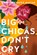 Big Chicas Don't Cry, Annette Chavez Macias - Paperback - 9781542039291
