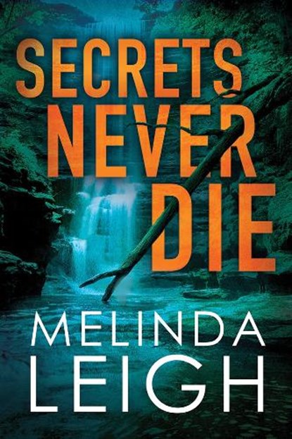 Secrets Never Die, Melinda Leigh - Paperback - 9781542040181