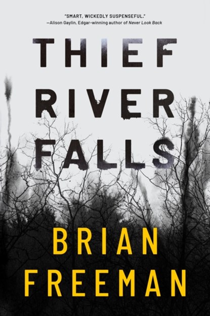 Thief River Falls, Brian Freeman - Paperback - 9781542093385